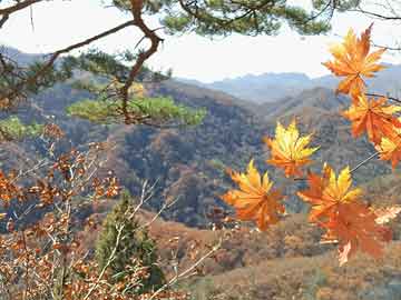 广西旅游卫视，展现八桂大地的魅力画卷，广西旅游卫视，呈现八桂大地魅力风采