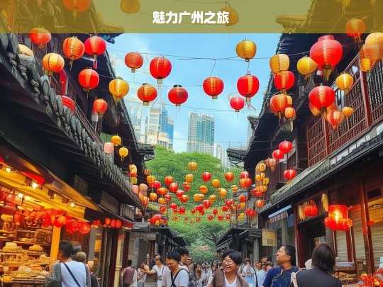 魅力广州之旅，魅力广州之旅，探寻花城的精彩