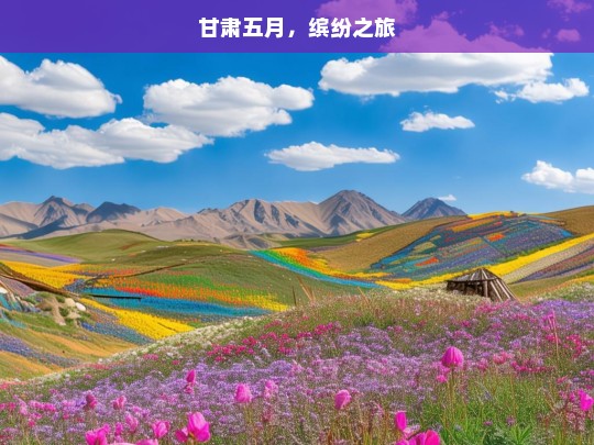 甘肃五月，缤纷之旅，甘肃五月缤纷游