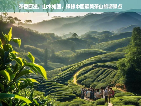 茶香四溢，山水如画，探秘中国最美茶山旅游胜地