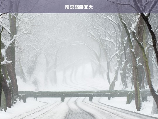 冬日南京，探索古都的冰雪魅力与温暖风情