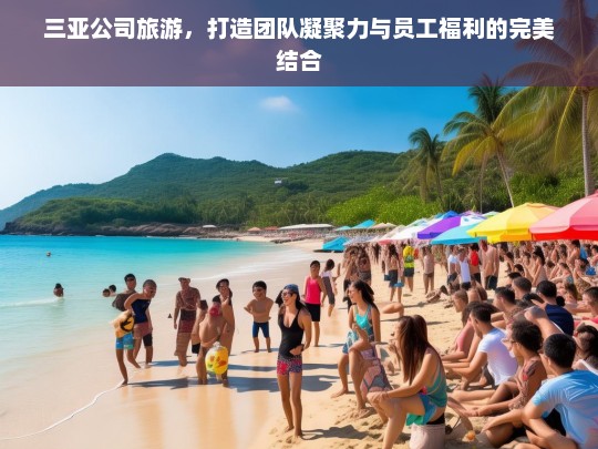 三亚公司旅游，团队凝聚力与员工福利的双赢之旅