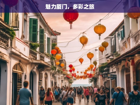 魅力厦门，多彩之旅，魅力厦门的多彩之旅