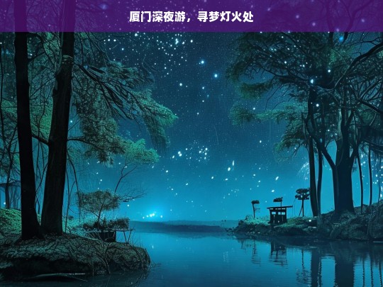 厦门深夜游，寻梦灯火处，厦门深夜寻梦之旅