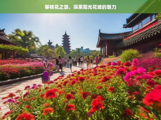 攀枝花之旅，探索阳光花城的魅力，攀枝花之旅，领略阳光花城魅力