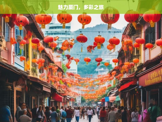 魅力厦门，多彩之旅，魅力厦门的多彩旅程