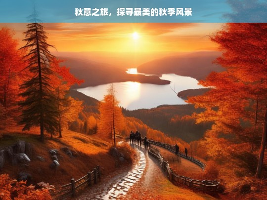 秋意之旅，探寻最美的秋季风景，秋意之旅，寻最美秋景