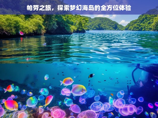 帕劳之旅，探索梦幻海岛的全方位体验，帕劳之旅，全方位体验梦幻海岛