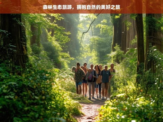 森林生态旅游，拥抱自然的美好之旅，森林生态旅游，拥抱自然的美好之旅