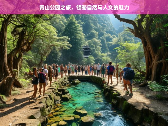 青山公园之旅，领略自然与人文的魅力，青山公园，自然与人文的魅力之旅