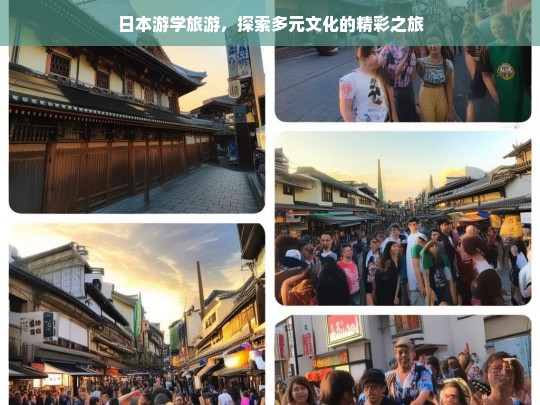 日本游学旅游，探索多元文化的精彩之旅，日本游学旅游，多元文化的精彩探索之旅