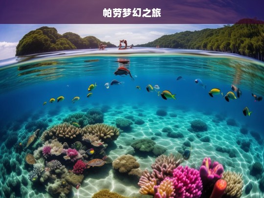 帕劳梦幻之旅，帕劳梦幻之旅，探寻海洋奇景