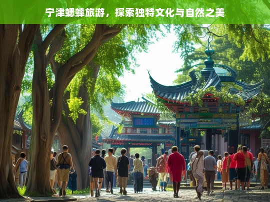 宁津蟋蟀旅游，探索独特文化与自然之美，宁津蟋蟀旅游，领略独特文化与自然之美