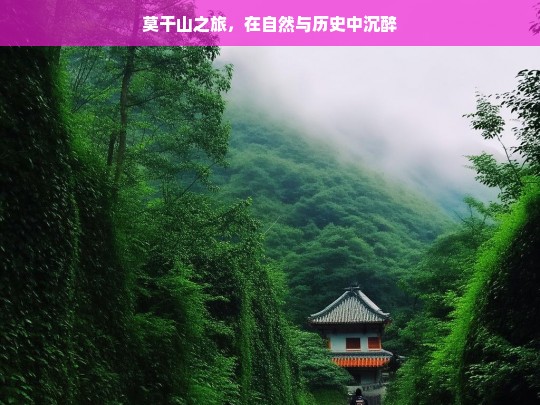 莫干山之旅，在自然与历史中沉醉，莫干山之旅，沉醉自然与历史