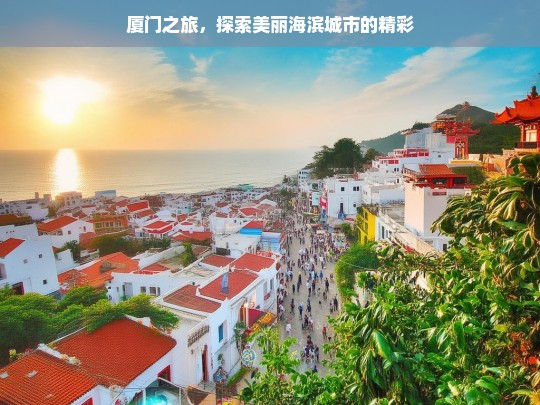 厦门之旅，探索美丽海滨城市的精彩，厦门之旅，领略美丽海滨城市魅力