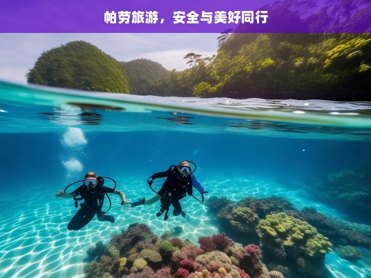 帕劳旅游，安全与美好同行，帕劳旅游，安全与美好相伴之旅