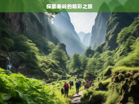 探索秦岭的精彩之旅，秦岭精彩探索之旅