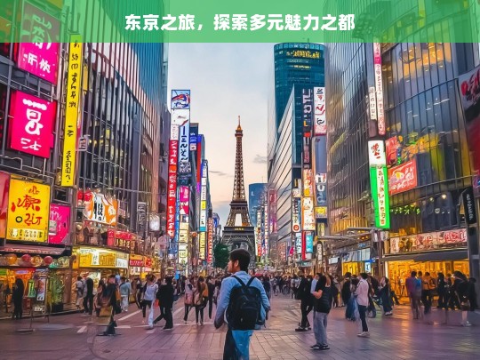 东京之旅，探索多元魅力之都，东京之旅，探寻多元魅力之都