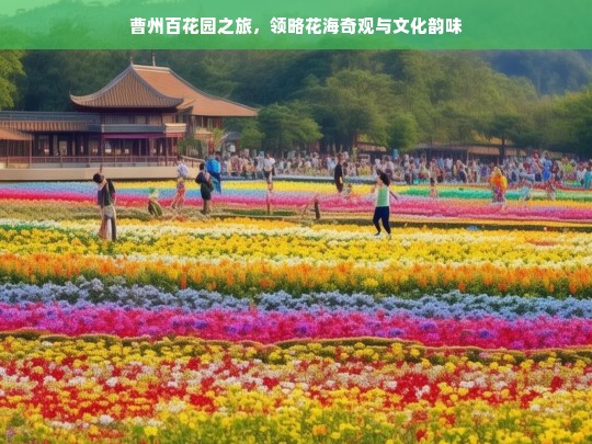 曹州百花园之旅，领略花海奇观与文化韵味，曹州百花园，花海与文化的奇妙之旅