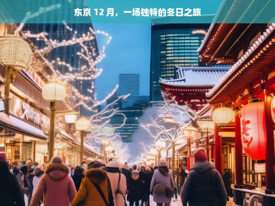 东京 12 月，一场独特的冬日之旅，东京 12 月的独特冬日之旅