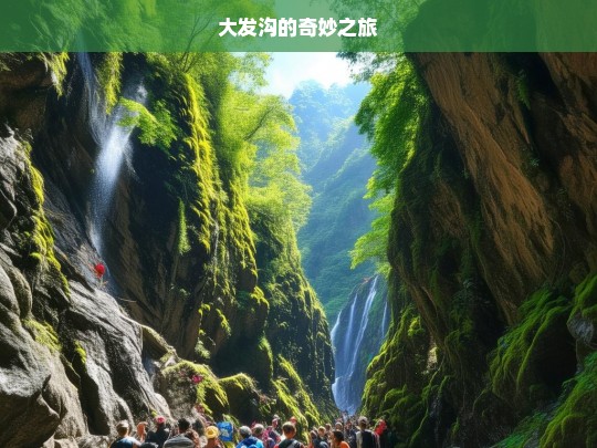 大发沟的奇妙之旅，大发沟奇妙之旅