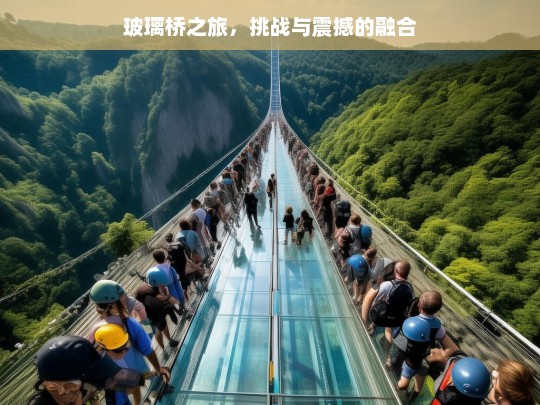 玻璃桥之旅，挑战与震撼的融合，玻璃桥之旅，挑战与震撼交织