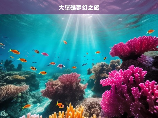 大堡礁梦幻之旅，大堡礁梦幻之旅，探索海洋奇景