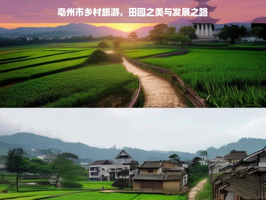 亳州市乡村旅游，田园之美与发展之路，亳州市乡村旅游，田园美与发展路