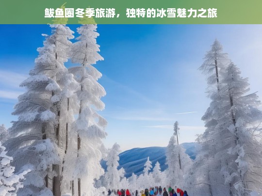 鲅鱼圈冬季旅游，独特的冰雪魅力之旅，鲅鱼圈冬季冰雪魅力游