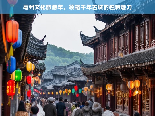 亳州文化旅游年，领略千年古城的独特魅力，亳州文化旅游年，探寻千年古城魅力之旅