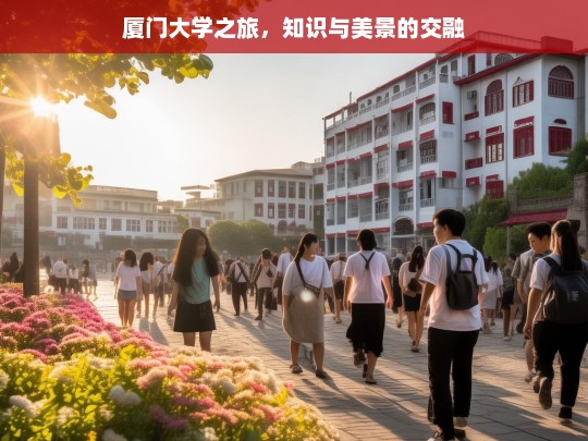 厦门大学之旅，知识与美景的交融，厦门大学之旅，知识与美景的完美交融