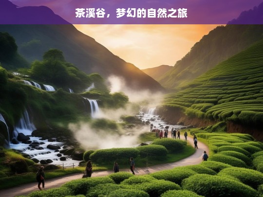 茶溪谷，梦幻的自然之旅，茶溪谷，梦幻自然之旅