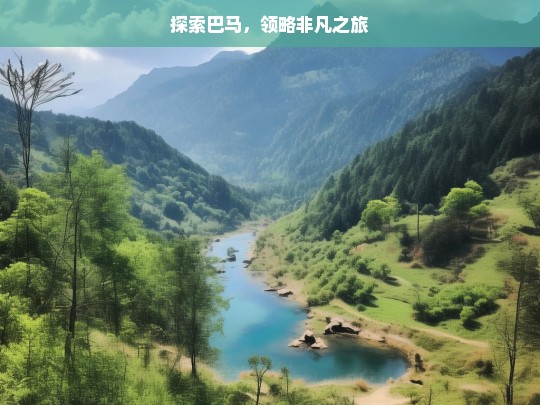 探索巴马，领略非凡之旅，探索巴马非凡之旅