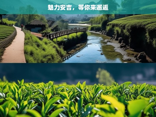 魅力安吉，等你来邂逅，魅力安吉，邂逅之旅