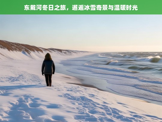 东戴河冬日之旅，邂逅冰雪奇景与温暖时光，东戴河冬日的冰雪与温暖之旅