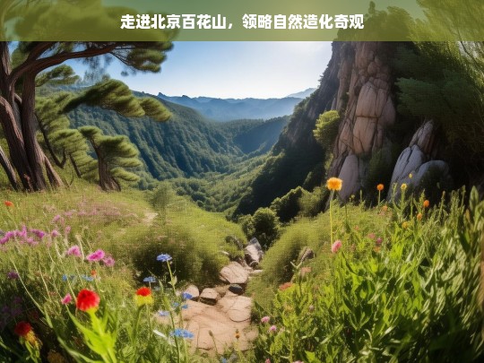 走进北京百花山，领略自然造化奇观，北京百花山，自然造化奇观之旅