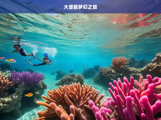 大堡礁梦幻之旅，大堡礁梦幻之旅，探索海洋奇景