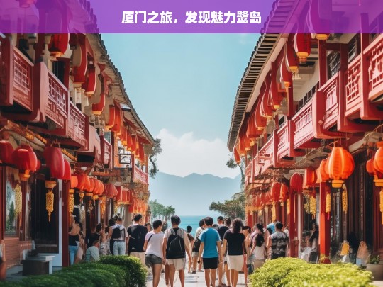 厦门之旅，发现魅力鹭岛，厦门之旅，探寻魅力鹭岛