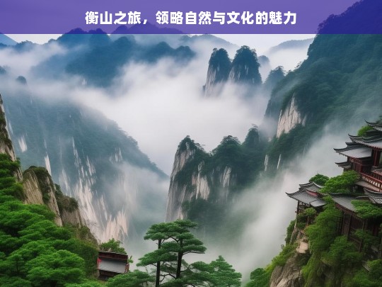 衡山之旅，领略自然与文化的魅力，衡山之旅，自然与文化的魅力探寻